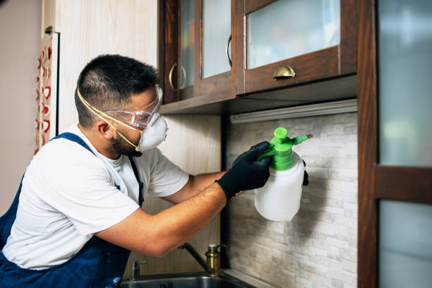 Best Pest Control Near Me in Gurdon, AR