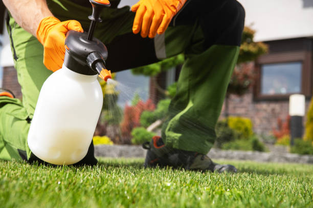 Best Affordable Pest Control Services  in Gurdon, AR
