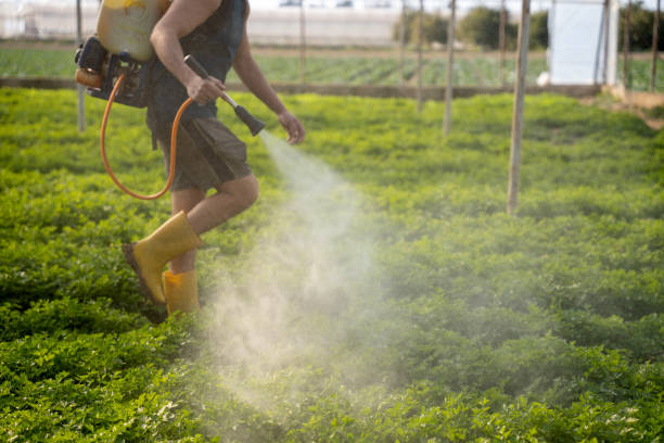 Best Pest Control for Restaurants  in Gurdon, AR