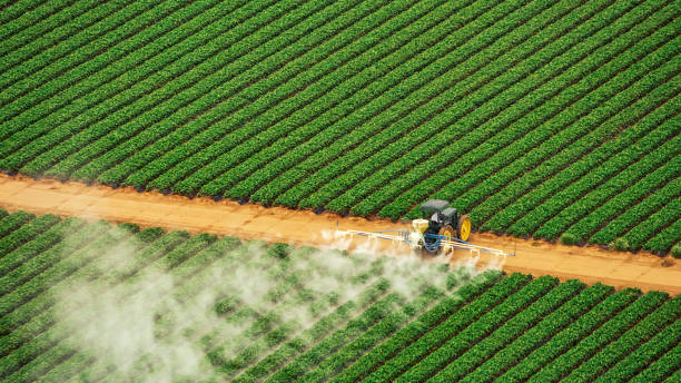 Best Best Pest Control Companies  in Gurdon, AR