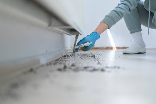Best Commercial Pest Control Services  in Gurdon, AR