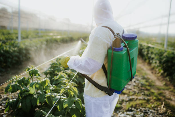 Pest Control Cost in Gurdon, AR
